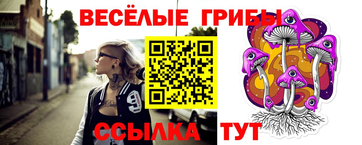 Псилоцибиновые грибы Cubensis Аша